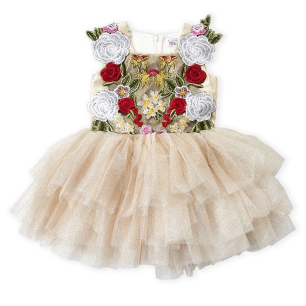 Halabaloo Embroidered Tutu Dress